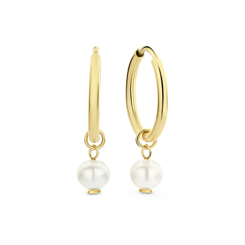Delia Crest Örhängen | Guld 14k